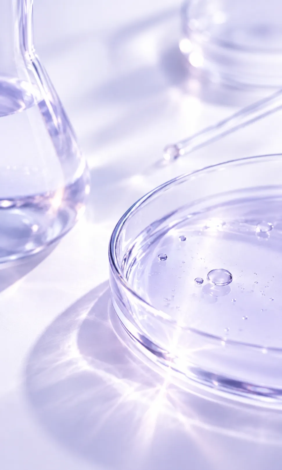Clear laboratory glassware representing precision, transparency and scientific boundaries